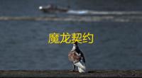 魔龙契约